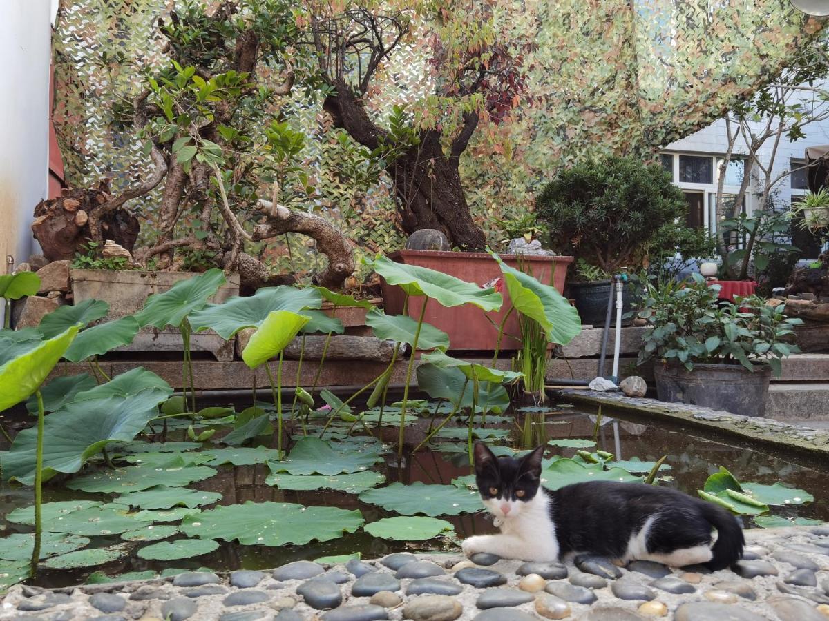 The Lily Pad Inn Ta-li Exteriér fotografie